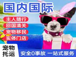 太原航空托运国际宠物托运 【国